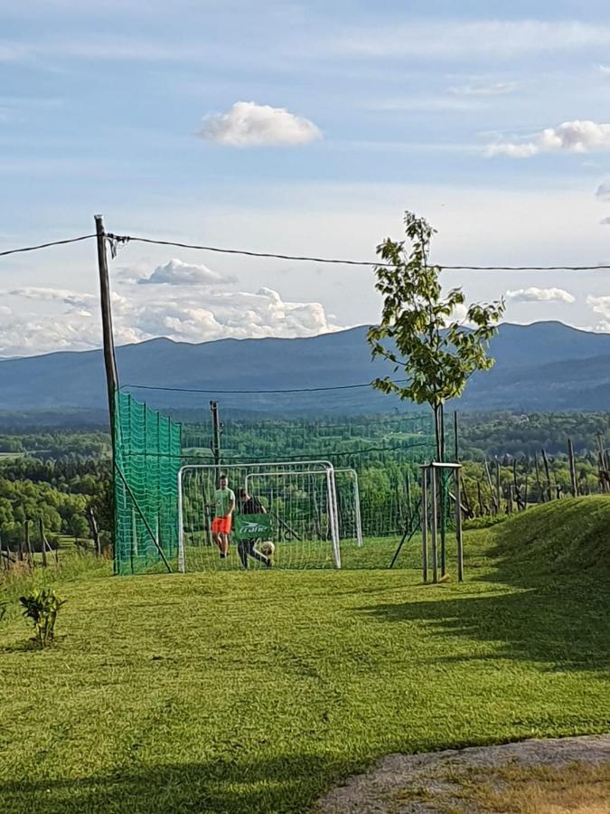 Vineyard Cottage Lan Na Hribu Semic Luaran gambar